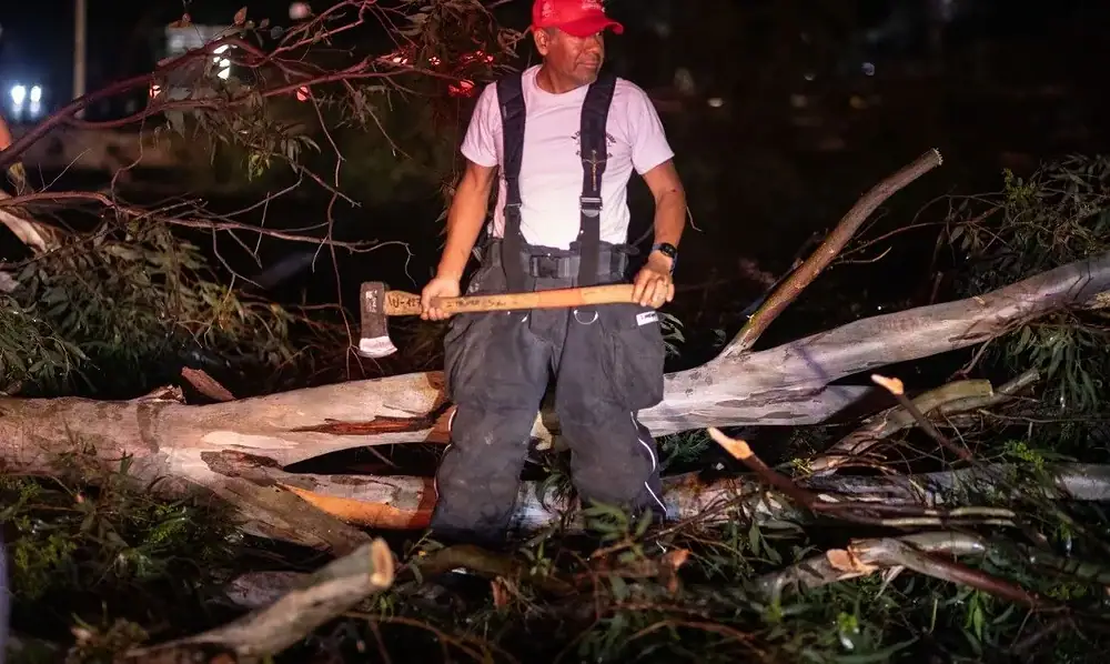 Tormenta deja 65 árboles caídos en Guadalajara