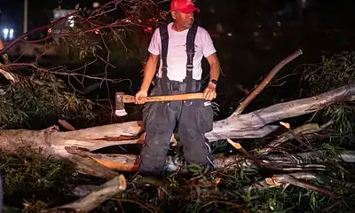 Tormenta deja 65 árboles caídos en Guadalajara