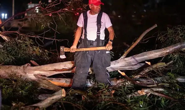Tormenta deja 65 árboles caídos en Guadalajara