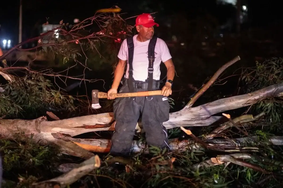 Tormenta deja 65 árboles caídos en Guadalajara