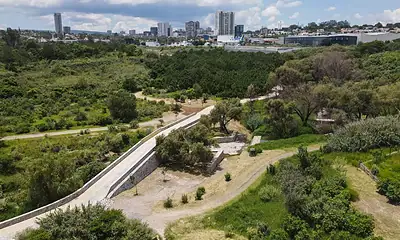 Colomos III ofrecerá carreras, yoga y recorridos guiados