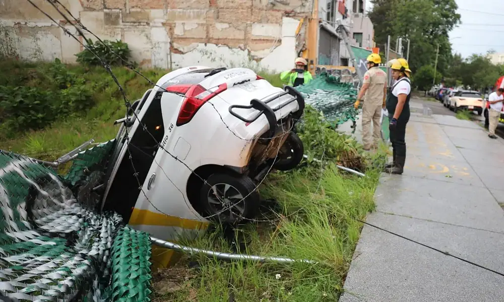 Tormenta deja 32 árboles caídos en Guadalajara