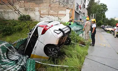 Tormenta deja 32 árboles caídos en Guadalajara