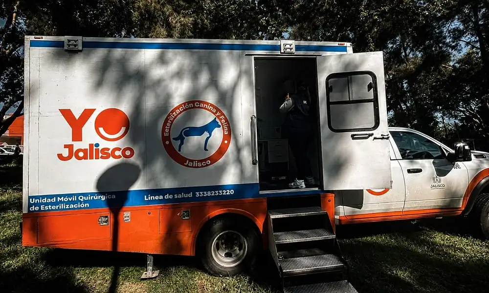 Jalisco refuerza brigadas y quirófanos móviles para prevenir rabia en mascotas