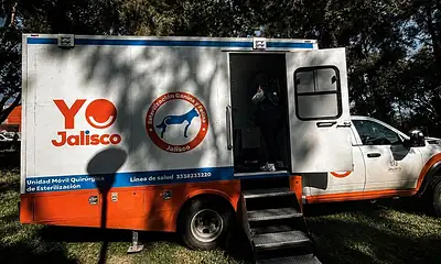 Jalisco refuerza brigadas y quirófanos móviles para prevenir rabia en mascotas