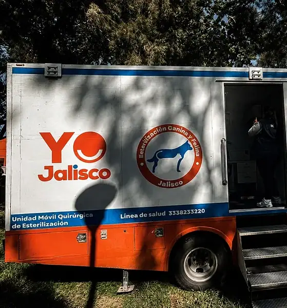 Jalisco refuerza brigadas y quirófanos móviles para prevenir rabia en mascotas