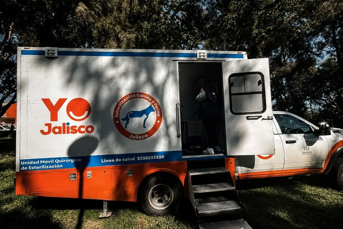 Jalisco refuerza brigadas y quirófanos móviles para prevenir rabia en mascotas