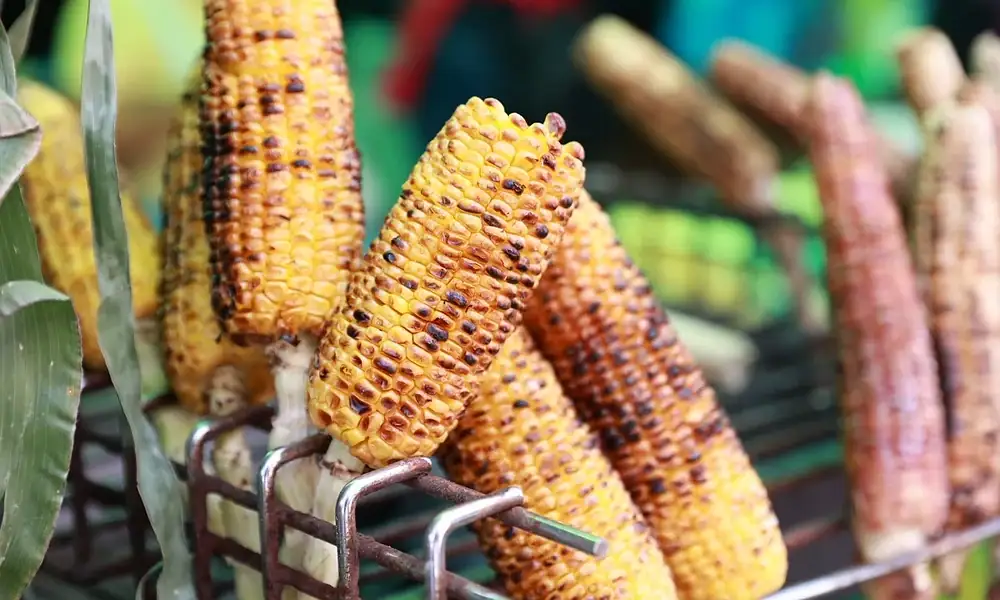 Feria del Elote de Tesistán 2026 en Zapopan con productos elaborados a base de maíz.
