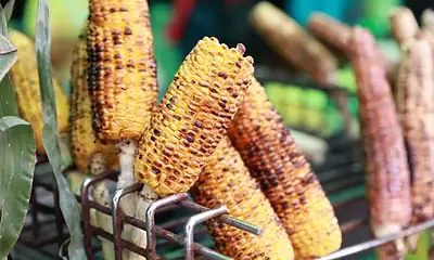 Feria del Elote de Tesistán 2026 en Zapopan con productos elaborados a base de maíz.