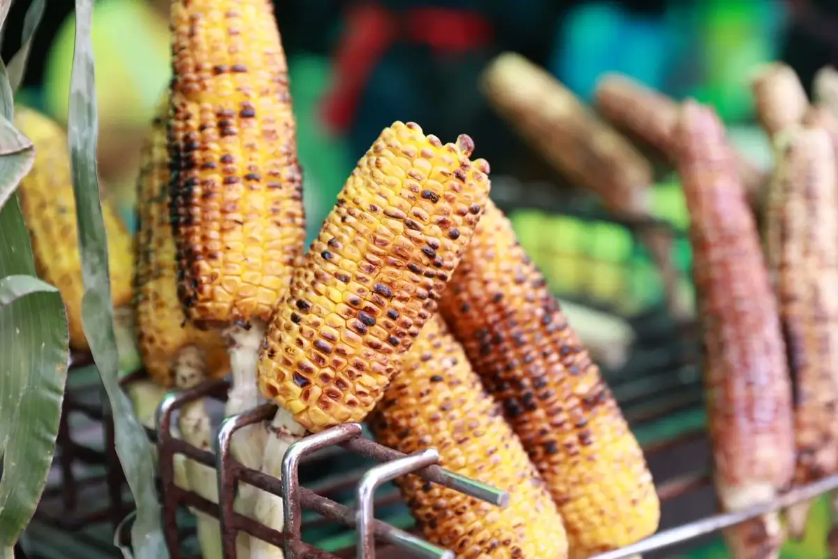 Feria del Elote de Tesistán 2026 en Zapopan con productos elaborados a base de maíz.