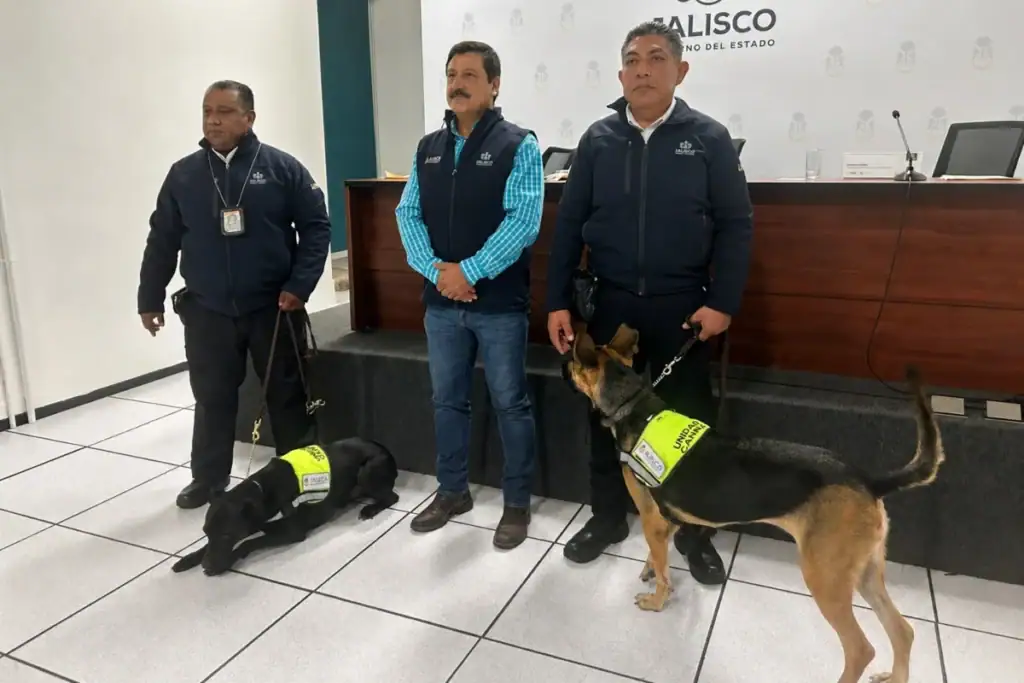 Binomio canino y personal veterinario participan en revisiones sanitarias contra el gusano barrenador en Jalisco.