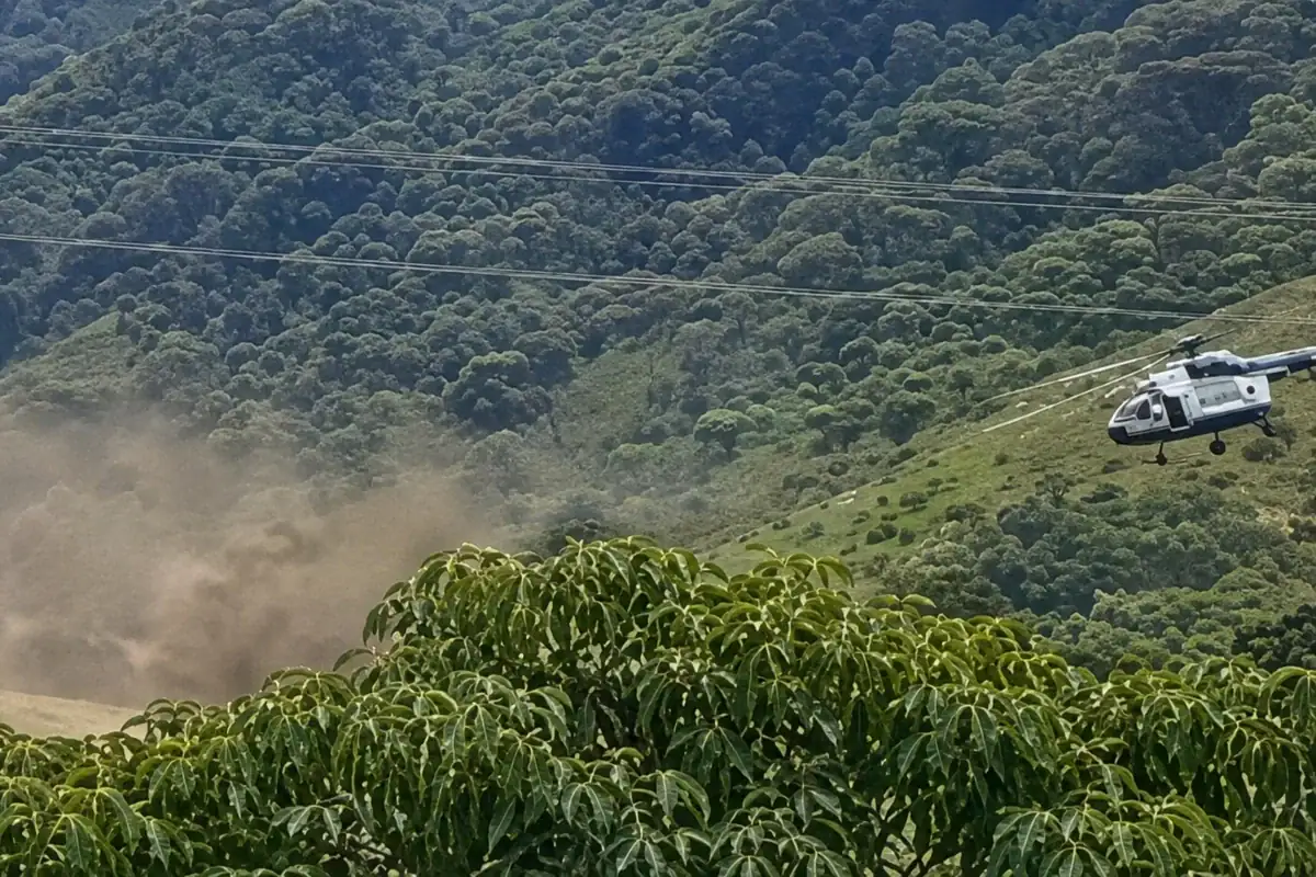 Helicóptero MI-17 de la Secretaría de Marina tras realizar un aterrizaje de emergencia mediante desplome controlado en La Garita, Tamazula de Gordiano, Jalisco.