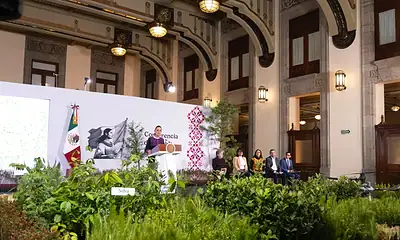 Personas participan en labores de reforestación durante una jornada ambiental en México.