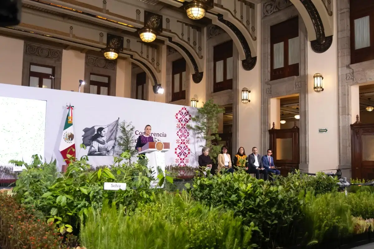 Personas participan en labores de reforestación durante una jornada ambiental en México.