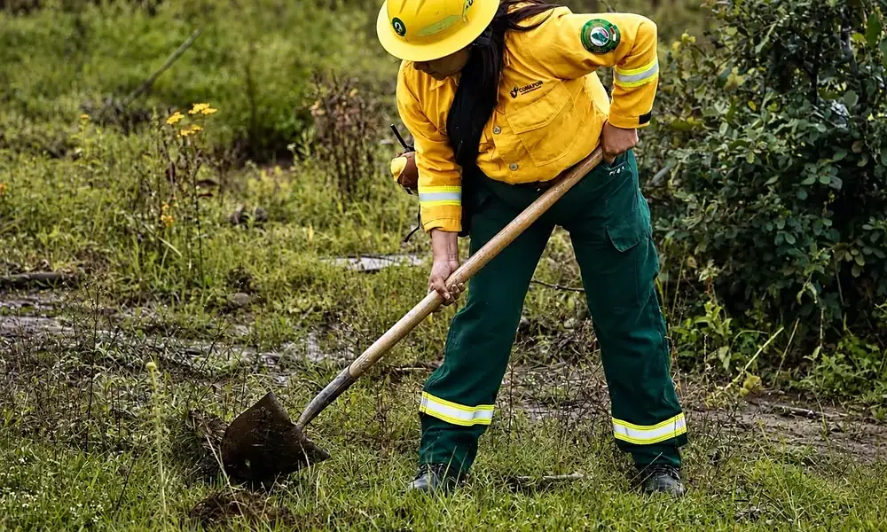Jornada de reforestación con 10 mil árboles en Atemajac de Brizuela, Jalisco.