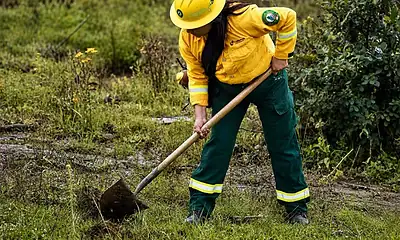Jornada de reforestación con 10 mil árboles en Atemajac de Brizuela, Jalisco.