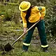 Jornada de reforestación con 10 mil árboles en Atemajac de Brizuela, Jalisco.