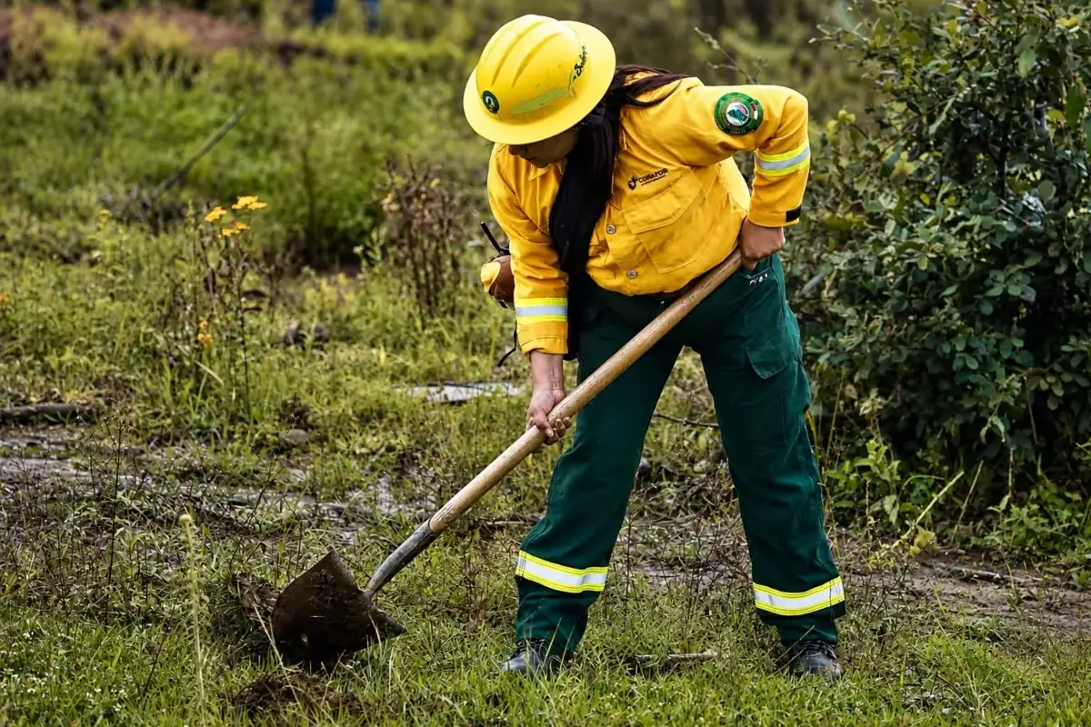 Jornada de reforestación con 10 mil árboles en Atemajac de Brizuela, Jalisco.