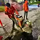 Cuadrillas de Tlajomulco reparan baches durante el temporal de lluvias como parte del programa Bacheando ando.