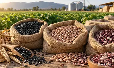 Claudia Sheinbaum presenta los apoyos federales para el campo