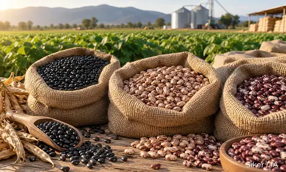 Claudia Sheinbaum presenta los apoyos federales para el campo
