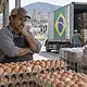 Productor avícola entre gallinas y huevo ante importaciones de pollo de Brasil