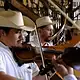 Siete caravanas llevarán música tradicional a 14 municipios de Jalisco.