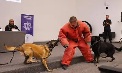 Binomio del Escuadrón Táctico Canino de Zapopan durante el 30 aniversario de la unidad