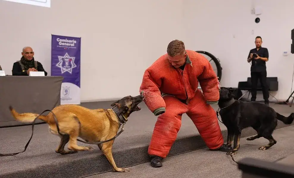 Binomio del Escuadrón Táctico Canino de Zapopan durante el 30 aniversario de la unidad