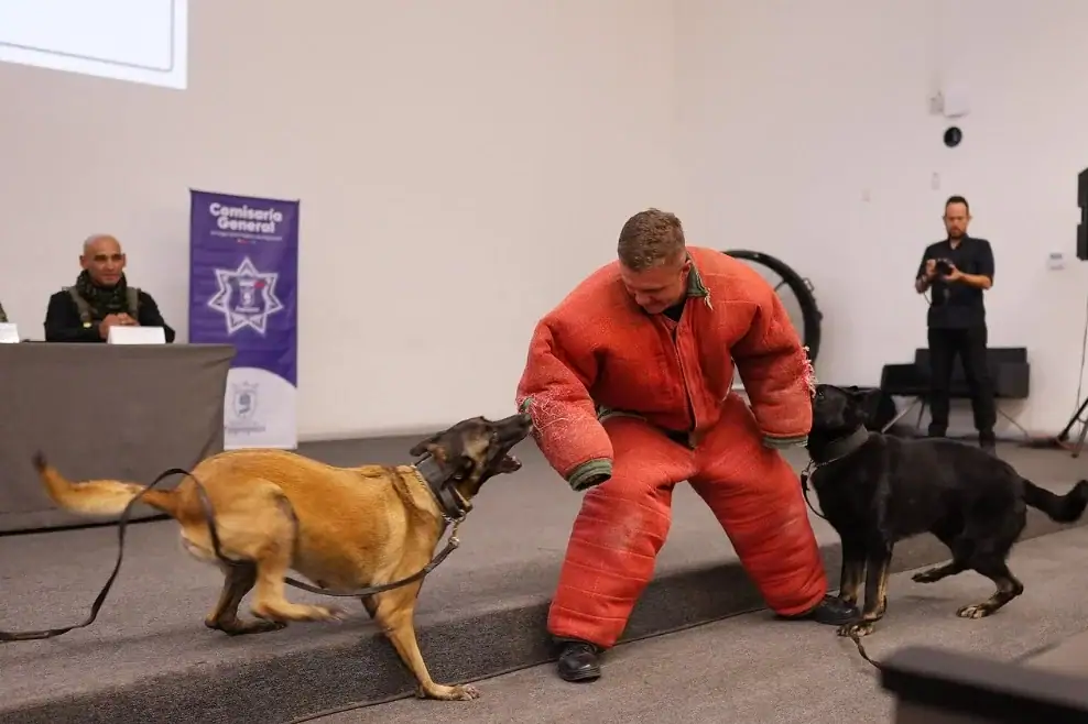 Binomio del Escuadrón Táctico Canino de Zapopan durante el 30 aniversario de la unidad