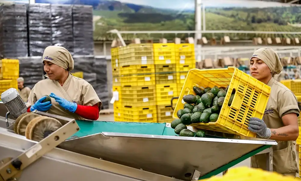 Trabajadores en México durante el balance de la primavera laboral de 2026