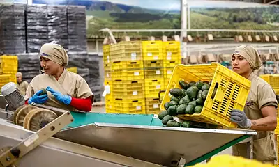 Trabajadores en México durante el balance de la primavera laboral de 2026