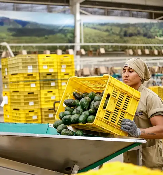 Trabajadores en México durante el balance de la primavera laboral de 2026