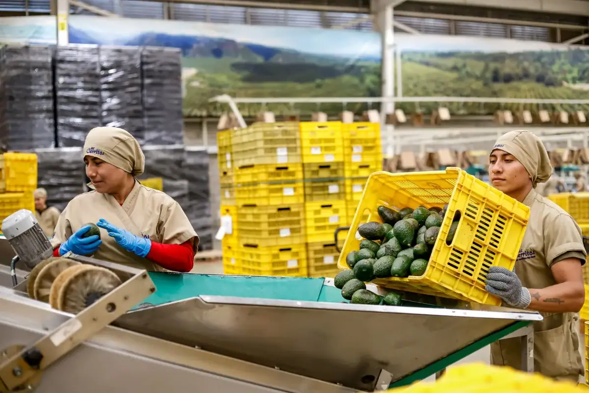 Trabajadores en México durante el balance de la primavera laboral de 2026