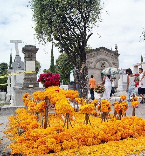 Celebraciones del Día de Muertos 2026 en Guadalajara con desfile de catrinas, altar monumental en La Minerva y actividades culturales.