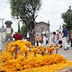 Celebraciones del Día de Muertos 2026 en Guadalajara con desfile de catrinas, altar monumental en La Minerva y actividades culturales.