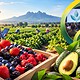 Presentación del Foro Global Agroalimentario 2026 en Jalisco, con representantes del Consejo Nacional Agropecuario y la Secretaría de Agricultura y Desarrollo Rural.