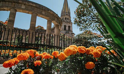 Flores de cempasúchil en un espacio público de Guadalajara por el Día de Muertos.
