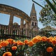 Flores de cempasúchil en un espacio público de Guadalajara por el Día de Muertos.