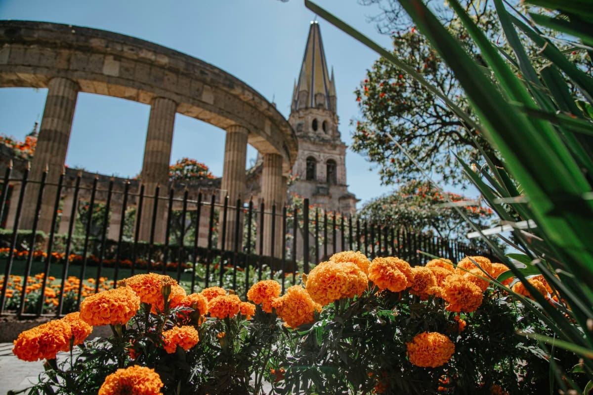 Flores de cempasúchil en un espacio público de Guadalajara por el Día de Muertos.