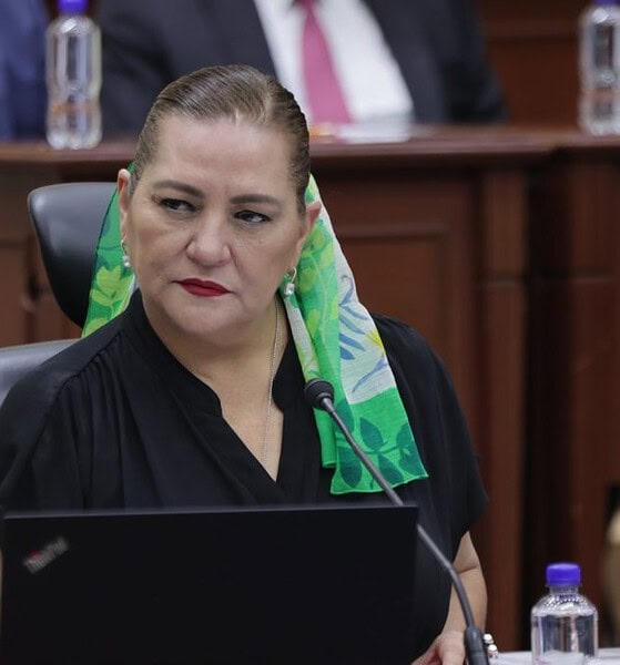 Comunicado oficial del INE número 460 que anuncia la renuncia de Guadalupe Taddei