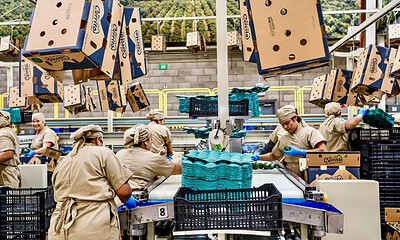 PIB de México crece 0.9 por ciento durante el tercer trimestre de 2026, según el Inegi