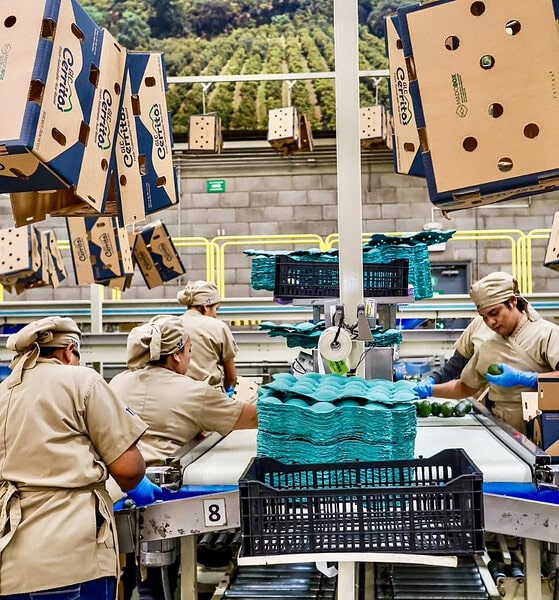 PIB de México crece 0.9 por ciento durante el tercer trimestre de 2026, según el Inegi