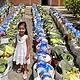 Premio a la Generosidad Jalisco 2026 del Banco de Alimentos Guadalajara