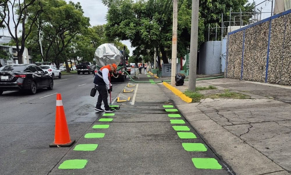 Personal de Movilidad de Guadalajara realiza trabajos de limpieza y mantenimiento en una ciclovía de avenida Agustín Yáñez
