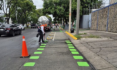 Personal de Movilidad de Guadalajara realiza trabajos de limpieza y mantenimiento en una ciclovía de avenida Agustín Yáñez