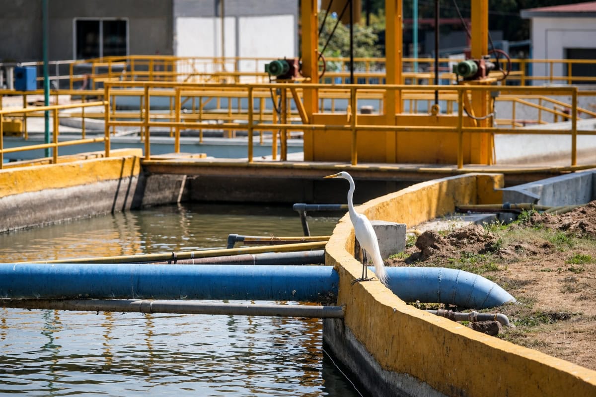 Calendario de rotación de agua del Siapa para 627 colonias de la ZMG